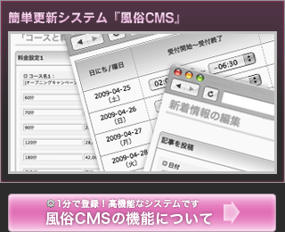 『風俗CMS』について