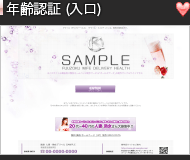風俗年齢認証ページ